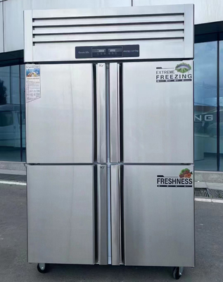 220V-240V/50HZ(60HZ) Frigorifero in acciaio inossidabile verticale per cucina