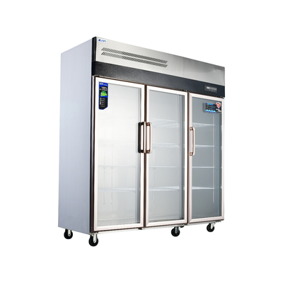 Acciaio inossidabile 304/201 frigorifero verticale per cucina con vetro commerciale
