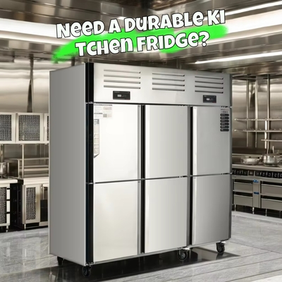 Apparecchiature di refrigerazione in acciaio inossidabile per cucina