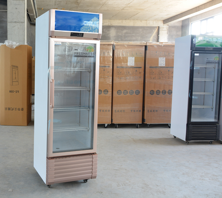 Vitrina del frigorifero con porta di vetro verticale con termostato digitale