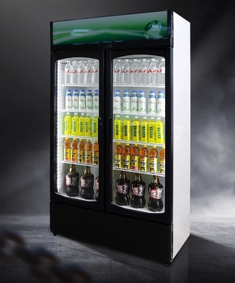 220V-240V/50HZ 60HZ 110V/60HZ Display Cooler 2 Porte Negozio Bevande Frigo