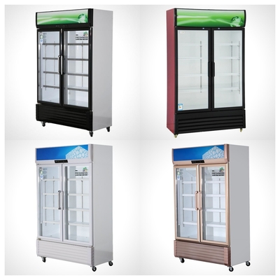 220V-240V/50HZ 60HZ 110V/60HZ Display Cooler 2 Porte Negozio Bevande Frigo