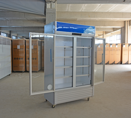 110V/60HZ Voltaggio Cassa espositiva per bevande refrigerate commerciali con refrigerante R290a