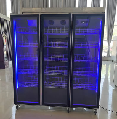 Frigorifero a temperatura singola o a display di vino personalizzato con illuminazione a LED