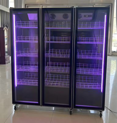 Frigorifero a temperatura singola o a display di vino personalizzato con illuminazione a LED