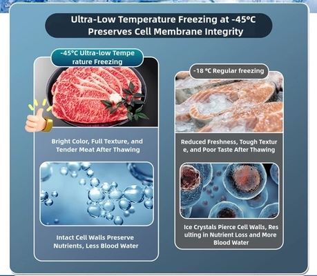 8.5-10 cm Campione di schiuma Ultra-basso Cesto di congelamento per grande capacità -60 °C di conservazione dei frutti di mare