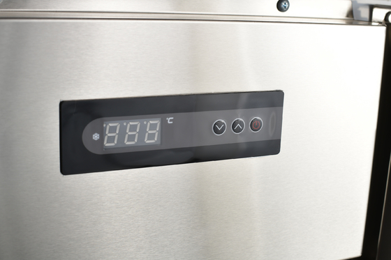 110V/60HZ 2 porte frigorifero in acciaio inossidabile per cucina commerciale